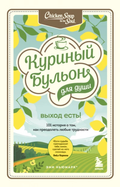 Куриный бульон для души. Выход есть! 101 история о том, как преодолеть любые трудности - Джек Кэнфилд Лучшие аудиокниги онлайн слушать бесплатно➝ Без остановки, полными циклами! ☆Более 100000 новых книг☆ ➝ Присоединяйтесь ✔️ audioknigi-onlain.com