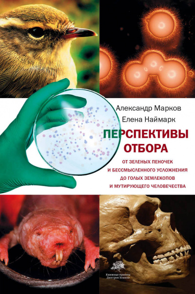 Перспективы отбора - Александр Марков, Елена Наймарк Лучшие аудиокниги онлайн слушать бесплатно➝ Без остановки, полными циклами! ☆Более 100000 новых книг☆ ➝ Присоединяйтесь ✔️ audioknigi-onlain.com