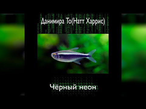 Данимира То  - Черный неон (аудиокнига) | фантастика, цифровое бессмертие Лучшие аудиокниги онлайн слушать бесплатно➝ Без остановки, полными циклами! ☆Более 100000 новых книг☆ ➝ Присоединяйтесь ✔️ audioknigi-onlain.com