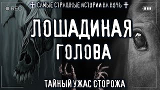 Ужас сторожа. Лошодиная голова -  Sallivan Лучшие аудиокниги онлайн слушать бесплатно➝ Без остановки, полными циклами! ☆Более 100000 новых книг☆ ➝ Присоединяйтесь ✔️ audioknigi-onlain.com