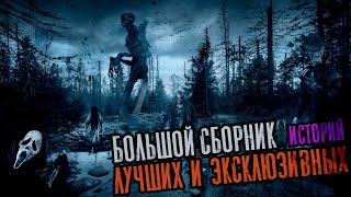 Большой сборник лучших эксклюзивных историй - Сергей Зимин Лучшие аудиокниги онлайн слушать бесплатно➝ Без остановки, полными циклами! ☆Более 100000 новых книг☆ ➝ Присоединяйтесь ✔️ audioknigi-onlain.com