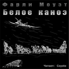 Белое каноэ - Фарли Моуэт Лучшие аудиокниги онлайн слушать бесплатно➝ Без остановки, полными циклами! ☆Более 100000 новых книг☆ ➝ Присоединяйтесь ✔️ audioknigi-onlain.com