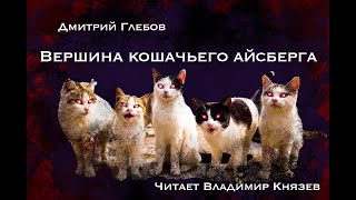 Вершина кошачьего айсберга - Дмитрий Глебов Лучшие аудиокниги онлайн слушать бесплатно➝ Без остановки, полными циклами! ☆Более 100000 новых книг☆ ➝ Присоединяйтесь ✔️ audioknigi-onlain.com
