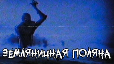 Земляничная поляна - FrFr Лучшие аудиокниги онлайн слушать бесплатно➝ Без остановки, полными циклами! ☆Более 100000 новых книг☆ ➝ Присоединяйтесь ✔️ audioknigi-onlain.com
