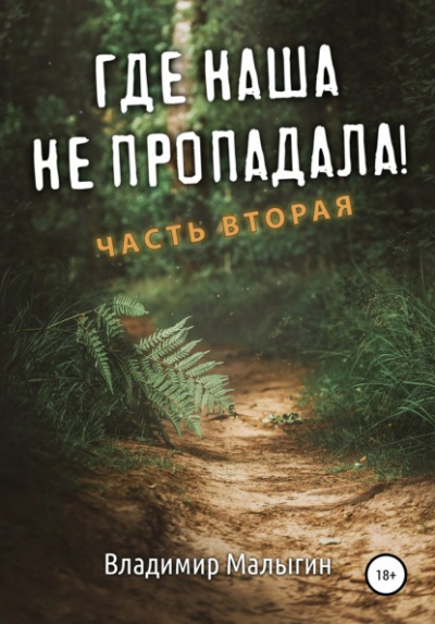 Где наша не пропадала! Часть 2 - Владимир Малыгин Лучшие аудиокниги онлайн слушать бесплатно➝ Без остановки, полными циклами! ☆Более 100000 новых книг☆ ➝ Присоединяйтесь ✔️ audioknigi-onlain.com