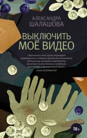 Выключить моё видео - Александра Шалашова Лучшие аудиокниги онлайн слушать бесплатно➝ Без остановки, полными циклами! ☆Более 100000 новых книг☆ ➝ Присоединяйтесь ✔️ audioknigi-onlain.com