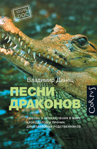 Песни драконов - Владимир Динец Лучшие аудиокниги онлайн слушать бесплатно➝ Без остановки, полными циклами! ☆Более 100000 новых книг☆ ➝ Присоединяйтесь ✔️ audioknigi-onlain.com