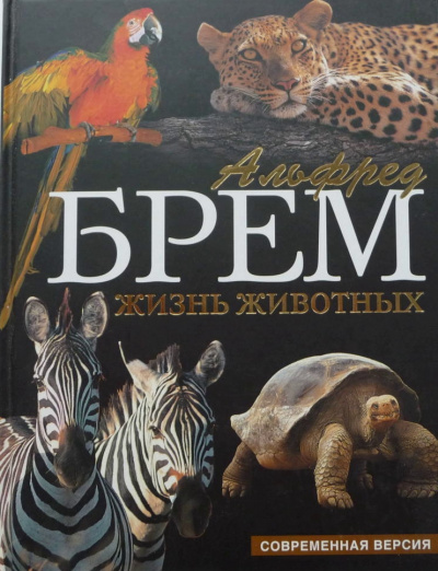 Жизнь животных. Пресмыкающиеся. Обезьяны - Альфред Брэм Лучшие аудиокниги онлайн слушать бесплатно➝ Без остановки, полными циклами! ☆Более 100000 новых книг☆ ➝ Присоединяйтесь ✔️ audioknigi-onlain.com