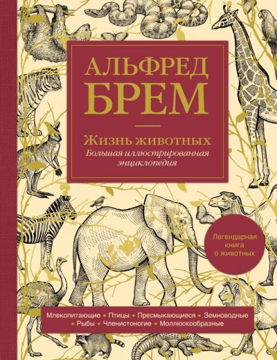 Жизнь животных - Альфред Брэм Лучшие аудиокниги онлайн слушать бесплатно➝ Без остановки, полными циклами! ☆Более 100000 новых книг☆ ➝ Присоединяйтесь ✔️ audioknigi-onlain.com