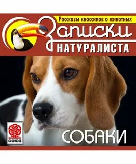 Рассказы классиков о животных. Собаки Лучшие аудиокниги онлайн слушать бесплатно➝ Без остановки, полными циклами! ☆Более 100000 новых книг☆ ➝ Присоединяйтесь ✔️ audioknigi-onlain.com