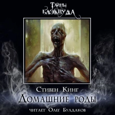 Домашние роды - Стивен Кинг Лучшие аудиокниги онлайн слушать бесплатно➝ Без остановки, полными циклами! ☆Более 100000 новых книг☆ ➝ Присоединяйтесь ✔️ audioknigi-onlain.com
