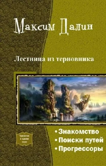 Лестница из терновника. Поиски путей - Макс Далин (2) Лучшие аудиокниги онлайн слушать бесплатно➝ Без остановки, полными циклами! ☆Более 100000 новых книг☆ ➝ Присоединяйтесь ✔️ audioknigi-onlain.com