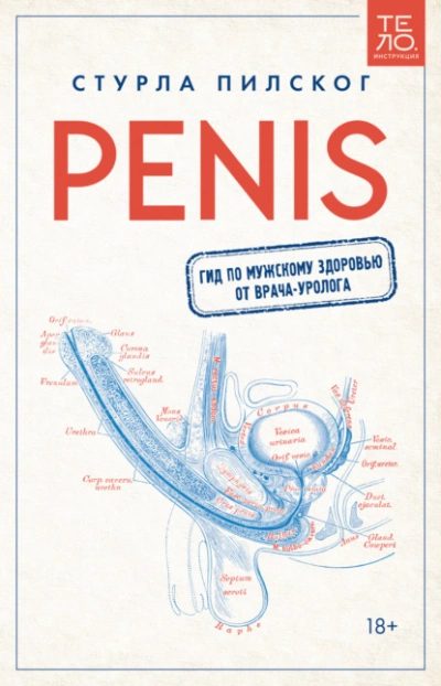Penis. Гид по мужскому здоровью от врача-уролога - Пилског Стурла Лучшие аудиокниги онлайн слушать бесплатно➝ Без остановки, полными циклами! ☆Более 100000 новых книг☆ ➝ Присоединяйтесь ✔️ audioknigi-onlain.com