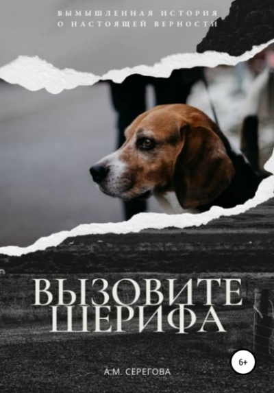Вызовите шерифа - Эллисон Майклс Лучшие аудиокниги онлайн слушать бесплатно➝ Без остановки, полными циклами! ☆Более 100000 новых книг☆ ➝ Присоединяйтесь ✔️ audioknigi-onlain.com