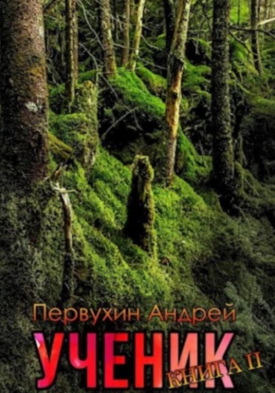 Ученик. Книга вторая - Андрей Первухин Лучшие аудиокниги онлайн слушать бесплатно➝ Без остановки, полными циклами! ☆Более 100000 новых книг☆ ➝ Присоединяйтесь ✔️ audioknigi-onlain.com