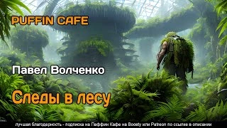 Следы в лесу - Павел Волченко » Лучшие аудиокниги онлайн слушать бесплатно➝ Без остановки, полными циклами! ☆Более 100000 новых книг☆ ➝ Присоединяйтесь ✔️ audioknigi-onlain.com