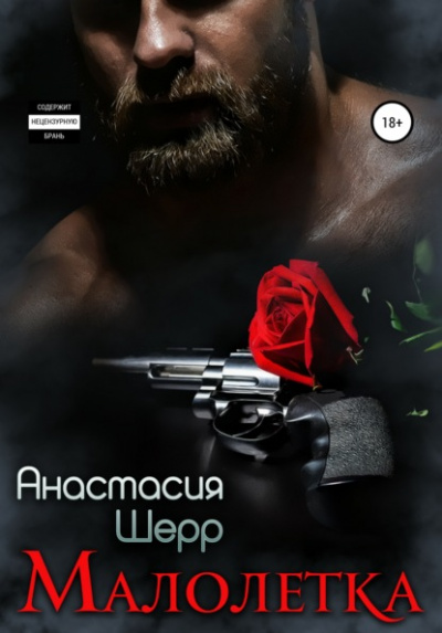 Малолетка - Анастасия Шерр Лучшие аудиокниги онлайн слушать бесплатно➝ Без остановки, полными циклами! ☆Более 100000 новых книг☆ ➝ Присоединяйтесь ✔️ audioknigi-onlain.com