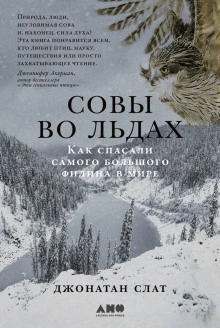 Совы во льдах: Как спасали самого большого филина в мире - Джонатан Слат Лучшие аудиокниги онлайн слушать бесплатно➝ Без остановки, полными циклами! ☆Более 100000 новых книг☆ ➝ Присоединяйтесь ✔️ audioknigi-onlain.com