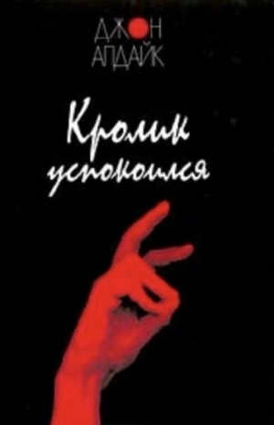 Кролик успокоился - Джон Апдайк Лучшие аудиокниги онлайн слушать бесплатно➝ Без остановки, полными циклами! ☆Более 100000 новых книг☆ ➝ Присоединяйтесь ✔️ audioknigi-onlain.com