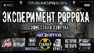 Эксперимент Вечность. Ожить. Любой. Ценой -  RORROH Лучшие аудиокниги онлайн слушать бесплатно➝ Без остановки, полными циклами! ☆Более 100000 новых книг☆ ➝ Присоединяйтесь ✔️ audioknigi-onlain.com