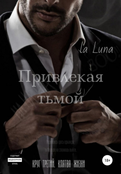 Привлекая тьмой - la luna Лучшие аудиокниги онлайн слушать бесплатно➝ Без остановки, полными циклами! ☆Более 100000 новых книг☆ ➝ Присоединяйтесь ✔️ audioknigi-onlain.com