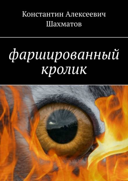 Фаршированный кролик - Константин Шахматов Лучшие аудиокниги онлайн слушать бесплатно➝ Без остановки, полными циклами! ☆Более 100000 новых книг☆ ➝ Присоединяйтесь ✔️ audioknigi-onlain.com