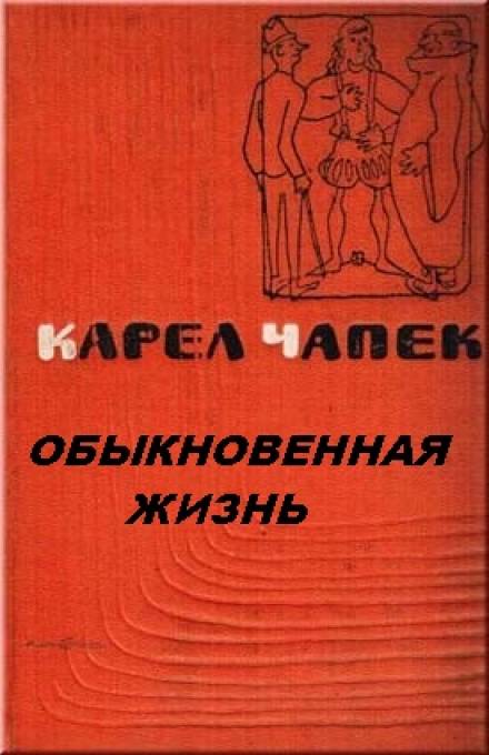 Обыкновенная жизнь - Карел Чапек Лучшие аудиокниги онлайн слушать бесплатно➝ Без остановки, полными циклами! ☆Более 100000 новых книг☆ ➝ Присоединяйтесь ✔️ audioknigi-onlain.com