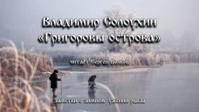Григоровы острова (Заметки о зимнем ужении рыбы) - Владимир Солоухин Лучшие аудиокниги онлайн слушать бесплатно➝ Без остановки, полными циклами! ☆Более 100000 новых книг☆ ➝ Присоединяйтесь ✔️ audioknigi-onlain.com