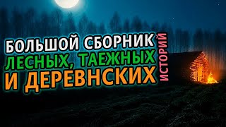 Большой сборник таежных и деревенских историй - Сергей Зимин Лучшие аудиокниги онлайн слушать бесплатно➝ Без остановки, полными циклами! ☆Более 100000 новых книг☆ ➝ Присоединяйтесь ✔️ audioknigi-onlain.com