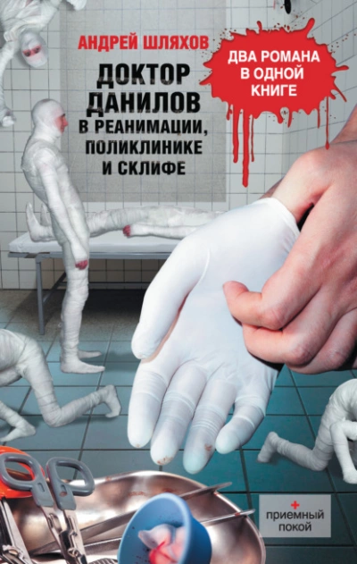 Доктор Данилов в реанимации, поликлинике и Склифе (сборник) - Андрей Шляхов Лучшие аудиокниги онлайн слушать бесплатно➝ Без остановки, полными циклами! ☆Более 100000 новых книг☆ ➝ Присоединяйтесь ✔️ audioknigi-onlain.com