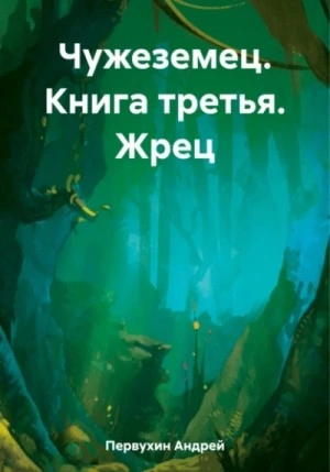 Жрец - Андрей Первухин Лучшие аудиокниги онлайн слушать бесплатно➝ Без остановки, полными циклами! ☆Более 100000 новых книг☆ ➝ Присоединяйтесь ✔️ audioknigi-onlain.com