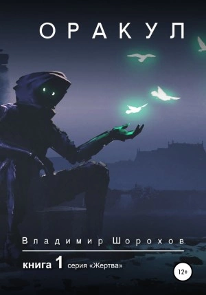 Оракул. Книга 1 - Владимир Шорохов Лучшие аудиокниги онлайн слушать бесплатно➝ Без остановки, полными циклами! ☆Более 100000 новых книг☆ ➝ Присоединяйтесь ✔️ audioknigi-onlain.com