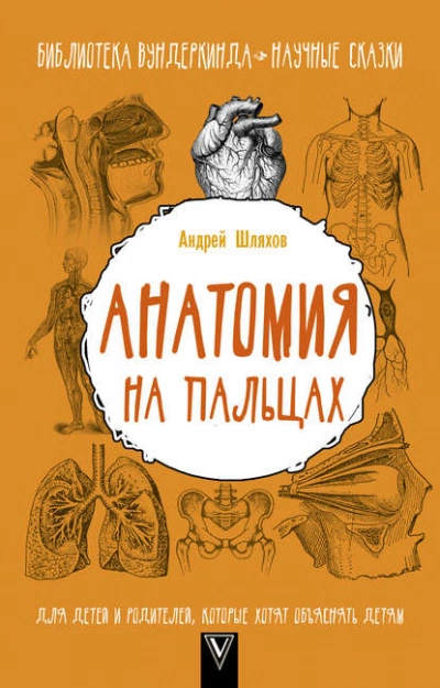 Анатомия на пальцах. Для детей и родителей, которые хотят объяснять детям - Андрей Шляхов Лучшие аудиокниги онлайн слушать бесплатно➝ Без остановки, полными циклами! ☆Более 100000 новых книг☆ ➝ Присоединяйтесь ✔️ audioknigi-onlain.com