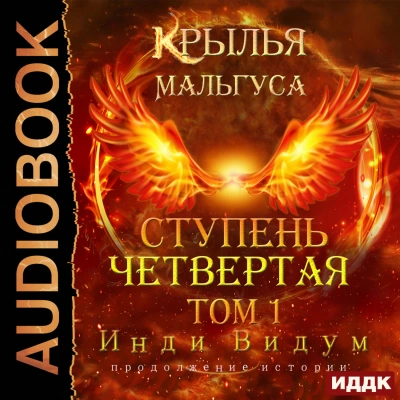 Ступень Четвертая. Том 1 - Видум Инди Лучшие аудиокниги онлайн слушать бесплатно➝ Без остановки, полными циклами! ☆Более 100000 новых книг☆ ➝ Присоединяйтесь ✔️ audioknigi-onlain.com