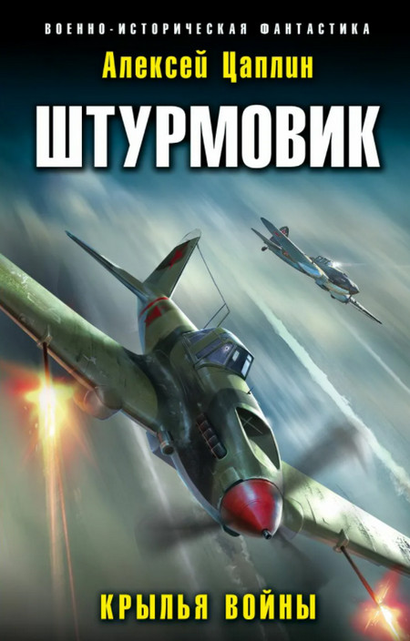 Штурмовик. Крылья войны - Алексей Цаплин (книга 1) Лучшие аудиокниги онлайн слушать бесплатно➝ Без остановки, полными циклами! ☆Более 100000 новых книг☆ ➝ Присоединяйтесь ✔️ audioknigi-onlain.com