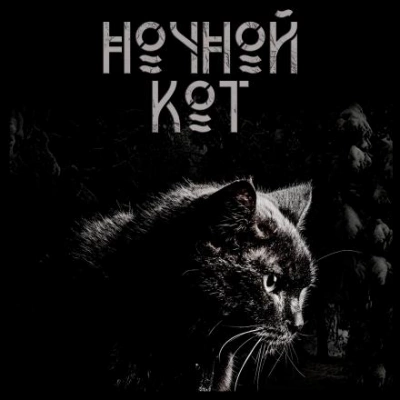 Ночной кот - Сергей Стэн Лучшие аудиокниги онлайн слушать бесплатно➝ Без остановки, полными циклами! ☆Более 100000 новых книг☆ ➝ Присоединяйтесь ✔️ audioknigi-onlain.com