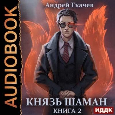 Князь шаман. Книга 2 - Андрей Ткачев Лучшие аудиокниги онлайн слушать бесплатно➝ Без остановки, полными циклами! ☆Более 100000 новых книг☆ ➝ Присоединяйтесь ✔️ audioknigi-onlain.com