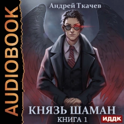 Князь шаман. Книга 1 - Андрей Ткачев Лучшие аудиокниги онлайн слушать бесплатно➝ Без остановки, полными циклами! ☆Более 100000 новых книг☆ ➝ Присоединяйтесь ✔️ audioknigi-onlain.com