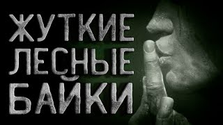 Жуткие лесные байки - Василий Кораблев Лучшие аудиокниги онлайн слушать бесплатно➝ Без остановки, полными циклами! ☆Более 100000 новых книг☆ ➝ Присоединяйтесь ✔️ audioknigi-onlain.com