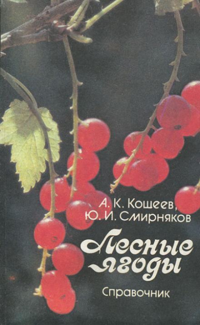 Лесные ягоды - Аркадий Кощеев, Юрий Смирняков Лучшие аудиокниги онлайн слушать бесплатно➝ Без остановки, полными циклами! ☆Более 100000 новых книг☆ ➝ Присоединяйтесь ✔️ audioknigi-onlain.com
