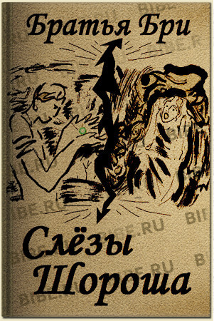Слёзы Шороша. Книга 3 - Братья Бри Лучшие аудиокниги онлайн слушать бесплатно➝ Без остановки, полными циклами! ☆Более 100000 новых книг☆ ➝ Присоединяйтесь ✔️ audioknigi-onlain.com
