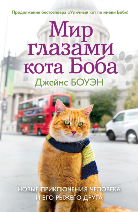 Мир глазами кота Боба - Джеймс Боуэн Лучшие аудиокниги онлайн слушать бесплатно➝ Без остановки, полными циклами! ☆Более 100000 новых книг☆ ➝ Присоединяйтесь ✔️ audioknigi-onlain.com