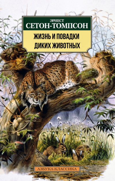 Жизнь и повадки диких животных - Эрнест Сетон-Томпсон Лучшие аудиокниги онлайн слушать бесплатно➝ Без остановки, полными циклами! ☆Более 100000 новых книг☆ ➝ Присоединяйтесь ✔️ audioknigi-onlain.com