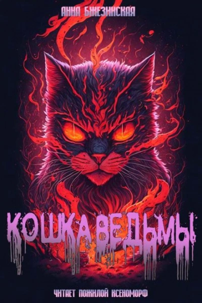 Кошка Ведьмы - Анна Бжезинская Лучшие аудиокниги онлайн слушать бесплатно➝ Без остановки, полными циклами! ☆Более 100000 новых книг☆ ➝ Присоединяйтесь ✔️ audioknigi-onlain.com