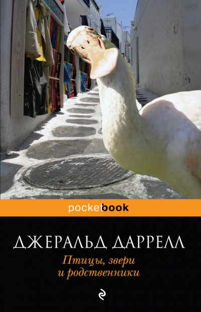 Птицы, звери и родственники - Джеральд Даррелл Лучшие аудиокниги онлайн слушать бесплатно➝ Без остановки, полными циклами! ☆Более 100000 новых книг☆ ➝ Присоединяйтесь ✔️ audioknigi-onlain.com