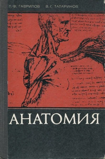 Анатомия - Леопольд Гаврилов Лучшие аудиокниги онлайн слушать бесплатно➝ Без остановки, полными циклами! ☆Более 100000 новых книг☆ ➝ Присоединяйтесь ✔️ audioknigi-onlain.com