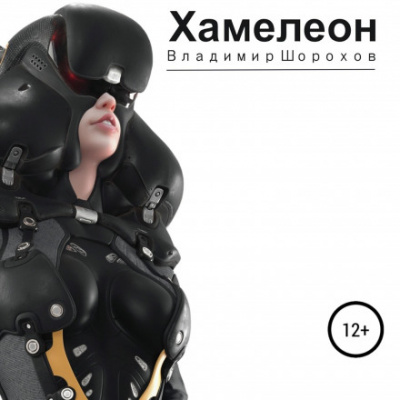 Хамелеон - Владимир Шорохов Лучшие аудиокниги онлайн слушать бесплатно➝ Без остановки, полными циклами! ☆Более 100000 новых книг☆ ➝ Присоединяйтесь ✔️ audioknigi-onlain.com
