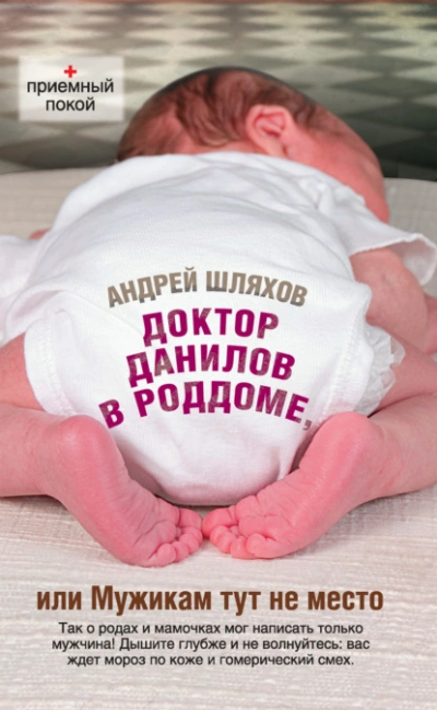 Доктор Данилов в роддоме, или Мужикам тут не место - Андрей Шляхов Лучшие аудиокниги онлайн слушать бесплатно➝ Без остановки, полными циклами! ☆Более 100000 новых книг☆ ➝ Присоединяйтесь ✔️ audioknigi-onlain.com