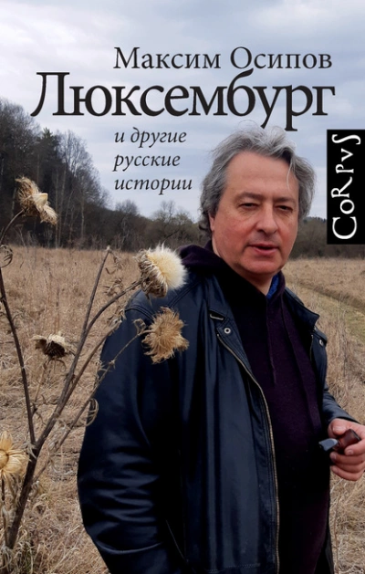 «Люксембург и другие русские истории - Максим Осипов Лучшие аудиокниги онлайн слушать бесплатно➝ Без остановки, полными циклами! ☆Более 100000 новых книг☆ ➝ Присоединяйтесь ✔️ audioknigi-onlain.com