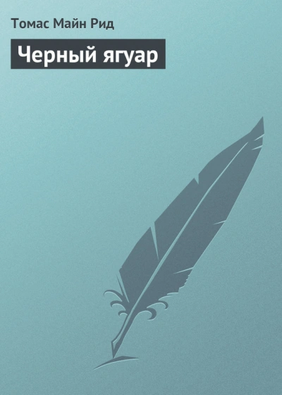 Черный ягуар - Томас Майн Рид Лучшие аудиокниги онлайн слушать бесплатно➝ Без остановки, полными циклами! ☆Более 100000 новых книг☆ ➝ Присоединяйтесь ✔️ audioknigi-onlain.com